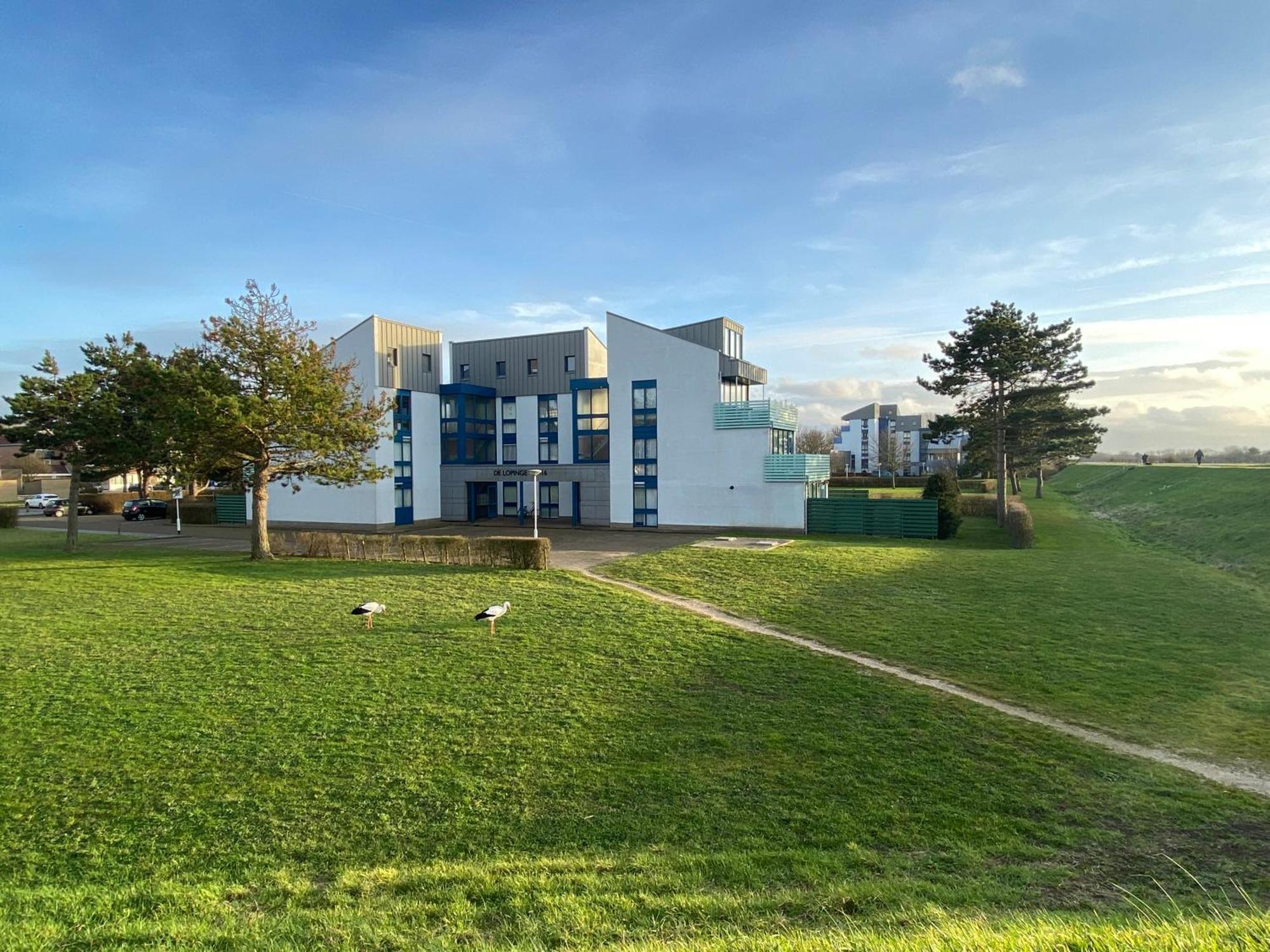 The Green Studio, Lopinge 94 Cadzand Exterior photo